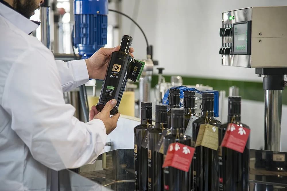Bottling process at the Martín de Prado olive mill